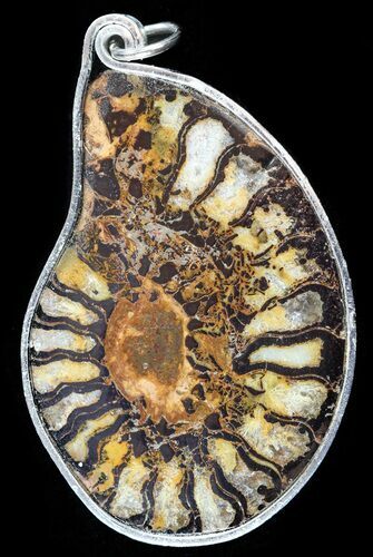 Moroccan Ammonite Fossil Pendant #58383